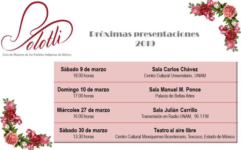 WhatsApp Image 2019-01-31 at 18.49.45